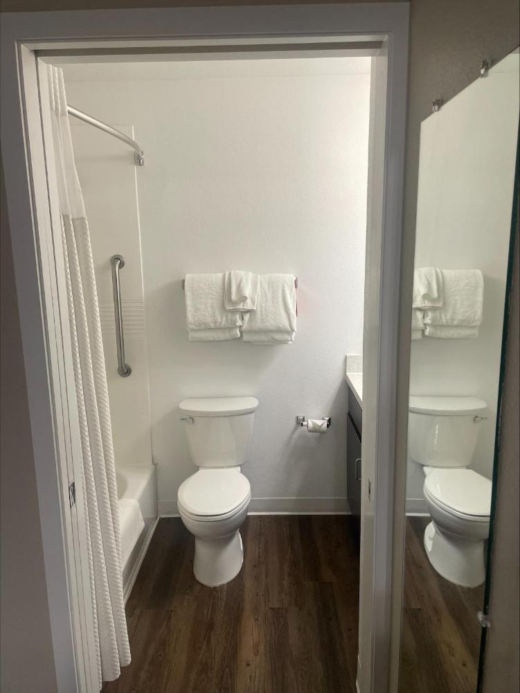 Double Studio with Two Double Beds and Sofa Bed interior